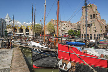 Kubische Häuser im Hafen von Oudehaven, Architekt Piet Blom, Rotterdam, Südholland, Niederlande, Europa - RHPLF18099