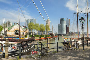 Veerhaven Port, Rotterdam, Südholland, Niederlande, Europa - RHPLF18104