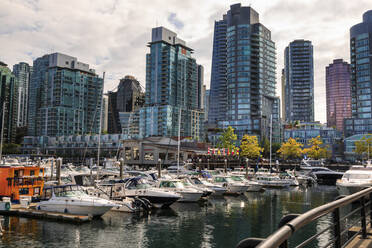 Jachthafen am Coal Harbour, mit Sportbooten und Hausbooten, Stadtsilhouette, Vancouver, British Columbia, Kanada, Nordamerika - RHPLF18129
