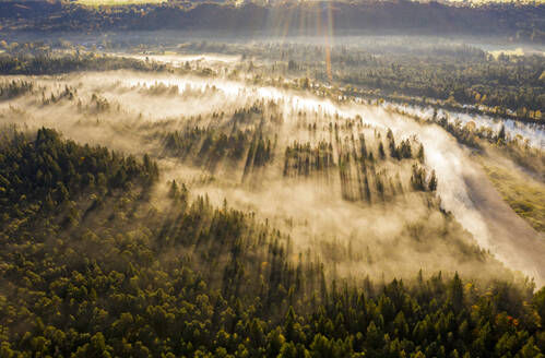 Luftaufnahme der Isar und des umliegenden Waldes bei nebliger Herbstdämmerung - LHF00826