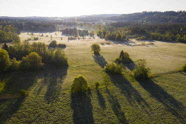 Drohnenansicht einer grünen Waldlandschaft bei Sonnenaufgang - LHF00831