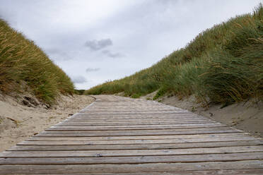 Empty boardwalk stretching across grassy beach - LHF00838