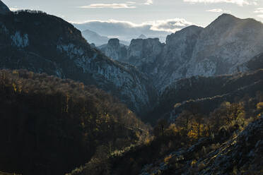 Picos de Europa im Herbst - JMPF00616