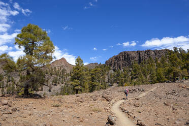 Älterer Mann beim Wandern auf dem Fußweg im Teide-Nationalpark, Teneriffa, Kanarische Inseln, Spanien - WWF05704