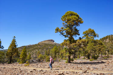 Man walking on footpath while hiking against blue sky during sunny day in Teide National Park, Tenerife, Canary Islands, Spain - WWF05706