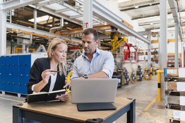 Geschäftsmann und Unternehmerin arbeiten in einer Fabrik an einem Laptop - DIGF13348