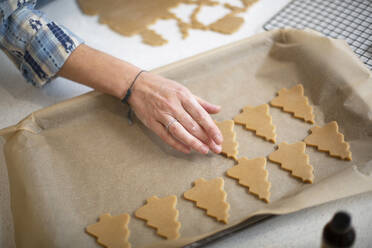 High angle close up of woman placing Christmas Tree cookies on a baking tray. - MINF15292