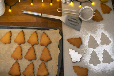 High angle close up of Christmas Tree cookies on a baking tray. - MINF15293