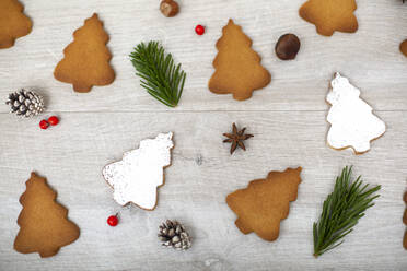 High angle close up of Christmas decorations and Christmas Tree cookies. - MINF15294