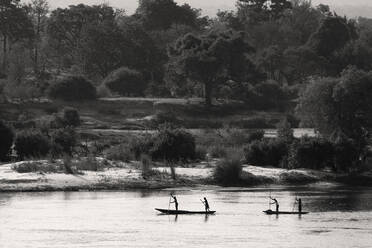 Einheimische fahren in traditionellen Mokoro-Kanus den Sambesi-Fluss hinunter, Sambia. - MINF15315