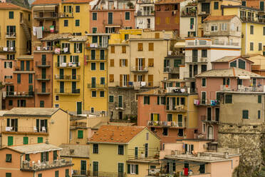 Manarola, Cinque Terre, UNESCO-Weltkulturerbe, Ligurien, Italien, Europa - RHPLF18217