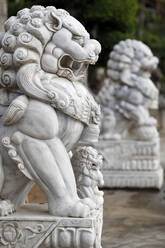 Long Khanh Buddhistische Pagode, Kaiserliche Wächterlöwenstatue am Eingang, Quy Nhon, Vietnam, Indochina, Südostasien, Asien - RHPLF18254