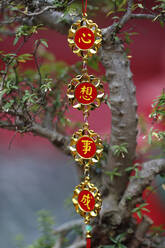 Dekoration zum chinesischen Neujahrsfest, Ho-Chi-Minh-Stadt, Vietnam, Indochina, Südostasien, Asien - RHPLF18257