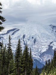 Frühes Licht auf dem Mount Rainier vom Burroughs Mountain Trail, Mount Rainier National Park, Washington State, Vereinigte Staaten von Amerika, Nordamerika - RHPLF18294