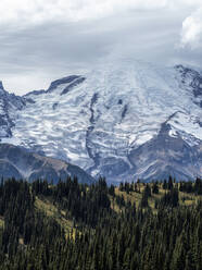 Early light on Mount Rainier from the Burroughs Mountain Trail, Mount Rainier National Park, Washington State, United States of America, North America - RHPLF18296