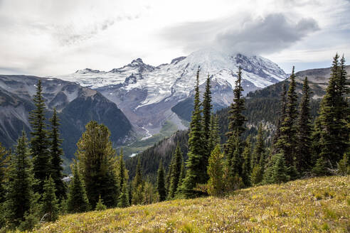 Frühes Licht auf dem Mount Rainier vom Burroughs Mountain Trail, Mount Rainier National Park, Washington State, Vereinigte Staaten von Amerika, Nordamerika - RHPLF18300