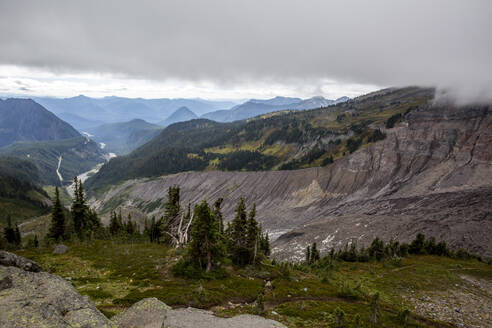 Blick auf den Deadhorse Creek Trail, Mount Rainier National Park, Washington State, Vereinigte Staaten von Amerika, Nordamerika - RHPLF18307