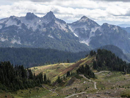 Ansichten vom Skyline Trail des Mount Rainier National Park, Washington State, Vereinigte Staaten von Amerika, Nordamerika - RHPLF18309