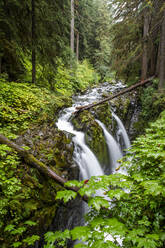 Wasserfall auf dem Sol Duc Falls Trail, Sol Duc Valley, Olympic National Park, UNESCO-Weltkulturerbe, Staat Washington, Vereinigte Staaten von Amerika, Nordamerika - RHPLF18320