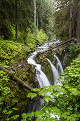 Waterfall on the Sol Duc Falls Trail, Sol Duc Valley, Olympic National Park, UNESCO World Heritage Site, Washington State, United States of America, North America - RHPLF18320