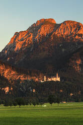 Schloss Neuschwanstein bei Sonnenuntergang, Schwangau, Allgäu, Schwaben, Bayern, Deutschland, Europa - RHPLF18335