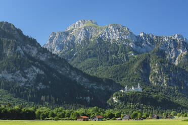 Schloss Neuschwanstein und Lechtaler Alpen, Schwangau, Allgäu, Schwaben, Bayern, Deutschland, Europa - RHPLF18339