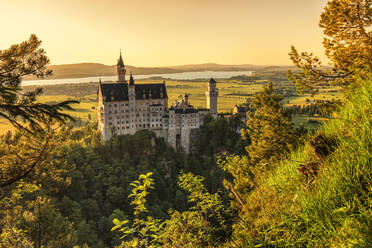 Schloss Neuschwanstein bei Sonnenuntergang, Blick auf den Forggensee, Schwangau, Allgäu, Schwaben, Bayern, Deutschland, Europa - RHPLF18350