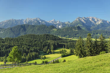 Blick von der Schlossbergalm auf die Allgäuer Alpen, Zell, Allgau, Schwaben, Bayern, Deutschland, Europa - RHPLF18353