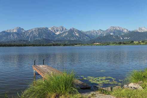 Steg am Hopfensee, Hopfen am See, Allgäuer Alpen, Allgäu, Schwaben, Bayern, Deutschland, Europa - RHPLF18354