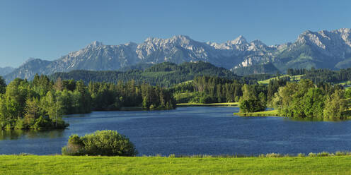 Schwaltenweiher Lake, Seeg, Allgau Alps, Allgau, Schwaben, Bavaria, Germany, Europe - RHPLF18355