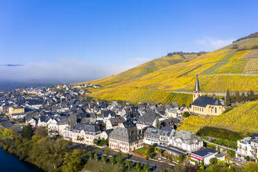 Deutschland, Rheinland-Pfalz, Zeltingen-Rachtig, Stadt und Weinberge an der Mosel im Herbst, Luftbild - AMF08725