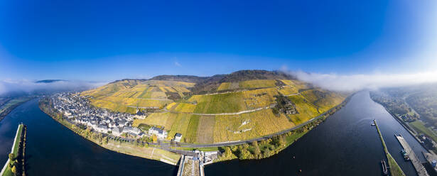 Deutschland, Rheinland-Pfalz, Zeltingen-Rachtig, Stadt und Weinberge an der Mosel im Herbst, Luftbild - AMF08726