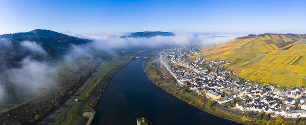 Deutschland, Rheinland-Pfalz, Zeltingen-Rachtig, Stadt und Weinberge an der Mosel im Herbst, Luftbild - AMF08730