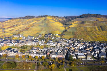 Deutschland, Rheinland-Pfalz, Zeltingen-Rachtig, Stadt und Weinberge im Herbst, Luftbild - AMF08735