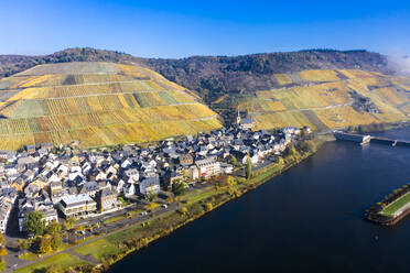 Germany, Rhineland-Palatinate, Zeltingen-Rachtig, Town and vineyards by Moselle in autumn, aerial view - AMF08736