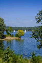 Sailboats on Brombachsee lake with trees in foreground - LBF03270