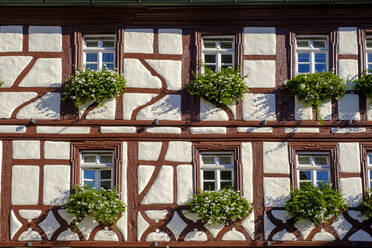 Deutschland, Bayern, Volkach, Fachwerktuchhaus, Fenster mit Blumen - LBF03274