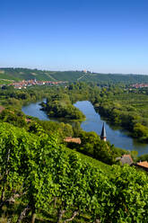 Dorf und Fluss, umgeben von Weinbergen - LBF03278