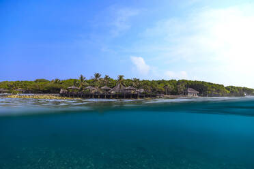 Malediven, Kaafu-Atoll, Palmen entlang der Küstenlinie der Insel Himmafushi - KNTF05813