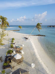 Sunshades and palm trees on tropical beach, aerial view - KNTF05815