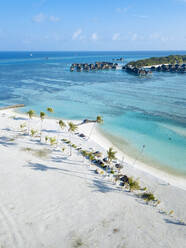 Sunshades and palm trees on tropical beach, aerial view - KNTF05820