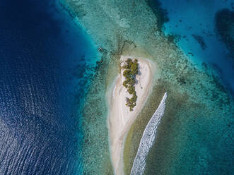 Tropical island on sea, aerial view - KNTF05862
