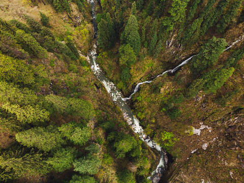 Drohnenansicht eines klaren Baches, der im Herbst durch einen Bergwald fließt, lizenzfreies Stockfoto