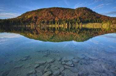 Malerischer Blick auf den Herbstwald, der sich im Walchensee spiegelt - MRF02372