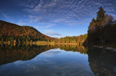 Malerischer Blick auf den Herbstwald, der sich im Walchensee spiegelt - MRF02373