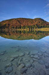 Malerischer Blick auf den Herbstwald, der sich im Walchensee spiegelt - MRF02374