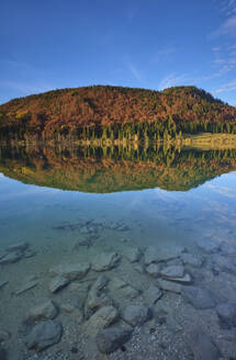 Malerischer Blick auf den Herbstwald, der sich im Walchensee spiegelt - MRF02374