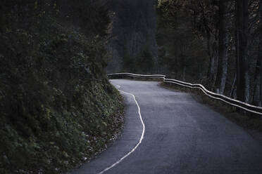 Leere Asphaltstraße im Wald - MRF02380