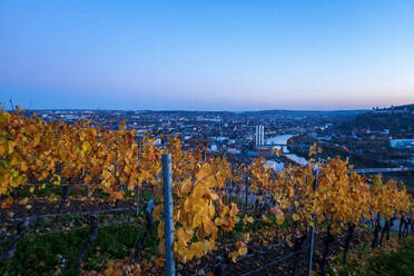 Weinberg und Stadt bei Sonnenuntergang - NDF01180