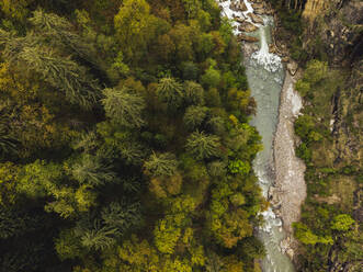 Drone view of green trees growing along Parvati River, India - JMPF00694